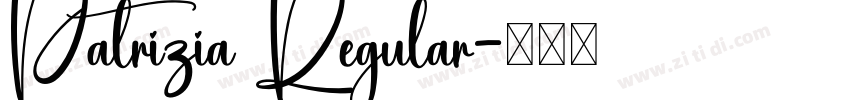 Patrízia Regular字体转换
